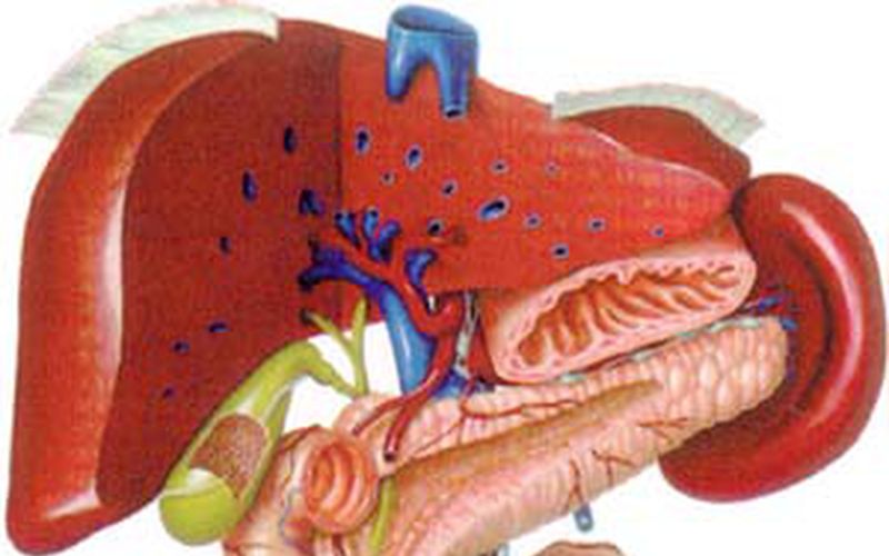 La hepatitis se hereda